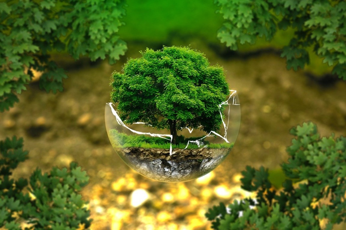 Imagem ilustrativa do curso Educação Ambiental